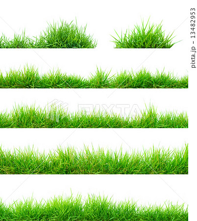 Grass Grass 13482953