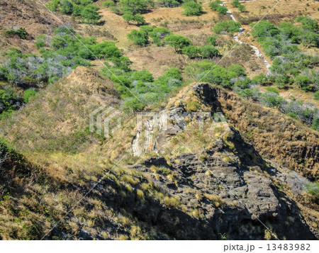 ダイアモンドヘッド登山道 ダイアモンドヘッド登山道 13483982
