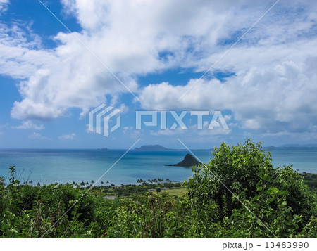 クアロアからの眺め 13483990