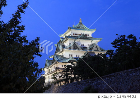 名古屋城夜景 13484403