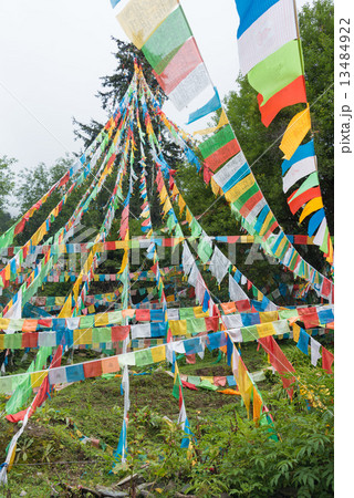中国・雲南省徳欽　蓮花寺のタルチョー 13484922