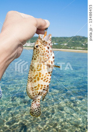沖縄の釣り イシミーバイ釣りの写真素材