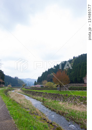 一乗谷 一乗谷 13486577