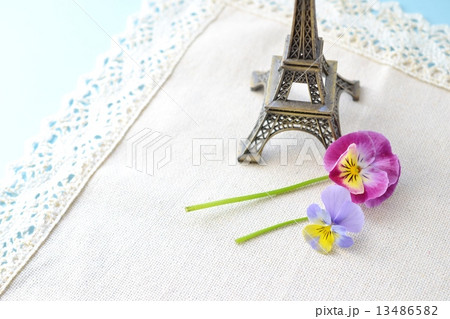 パンジーとエッフェル塔 13486582