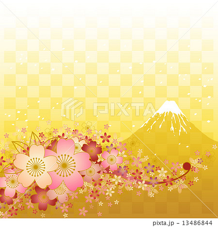 桜と富士山と金色の市松模様 13486844