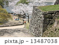 人吉城の花見 13487038