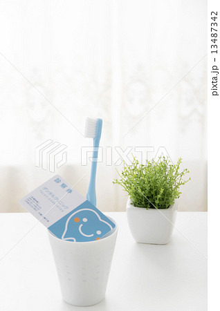 デンタルイメージ 13487342