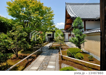 京都興臨院の庭園風景 13487860
