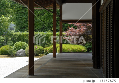 京都興臨院の庭園風景 13487875