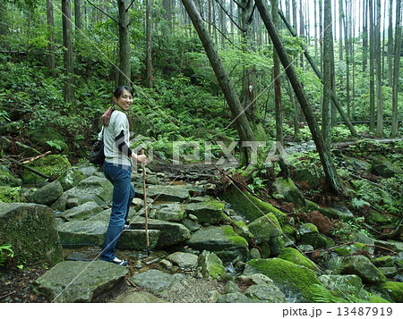 熊野古道 13487919