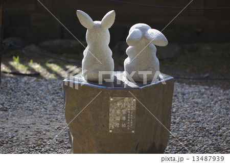 出雲大社のうさぎ 13487939