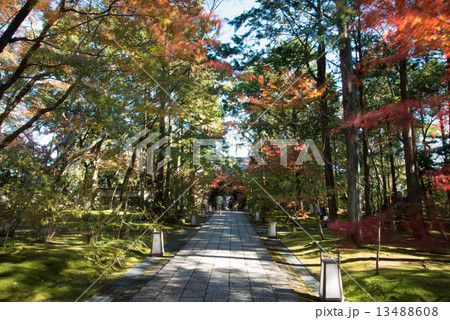 晩秋の五台山竹林寺 四国霊場八十八個所 三十一番札所 晩秋の五台山竹林寺 四国霊場八十八個所 三十一番札所 13488608