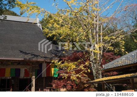 晩秋の五台山竹林寺 四国霊場八十八個所 三十一番札所 晩秋の五台山竹林寺 四国霊場八十八個所 三十一番札所 13488610