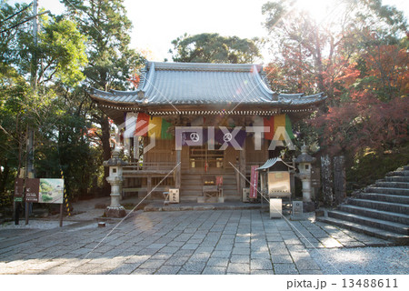 晩秋の五台山竹林寺 四国霊場八十八個所 三十一番札所 晩秋の五台山竹林寺 四国霊場八十八個所 三十一番札所 13488611