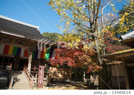 晩秋の五台山竹林寺 四国霊場八十八個所 三十一番札所 晩秋の五台山竹林寺 四国霊場八十八個所 三十一番札所 13488614