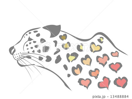 ハート柄の豹 13488884