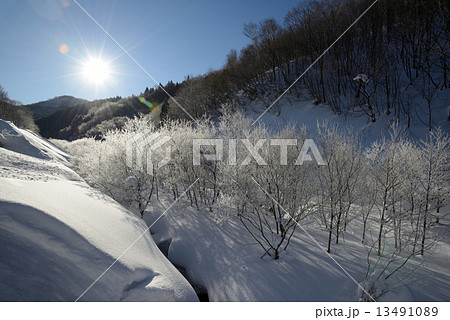 雪山　霧氷 13491089