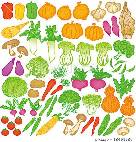 最高かつ最も包括的な野菜 イラスト 手書き アニメ画像