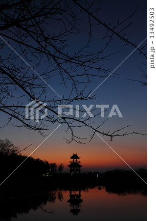 夕暮れの唐古遺跡 13492503