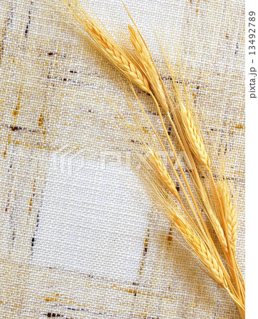 Wheat on background Wheat on background 13492789