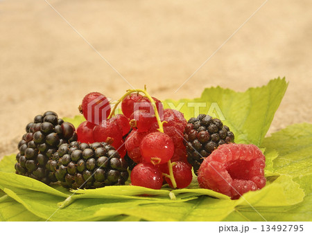 fresh berries on leafs 13492795