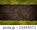 Soil texture with frame of grass 13493071
