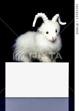 Goat or sheep with blank card 13493281