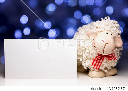 Sheep with blank card 13493287