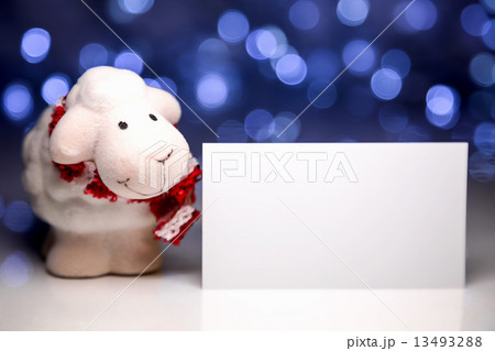 Sheep with blank card 13493288