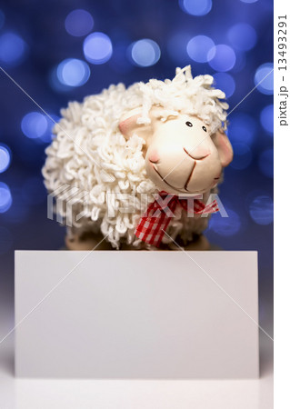 Sheep with blank card Sheep with blank card 13493291