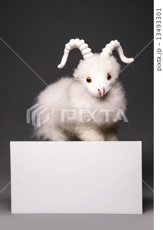 Goat or Sheep with blank card 13493301