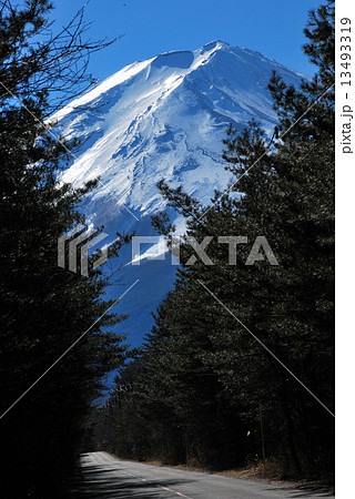 冨士山　縦 13493319