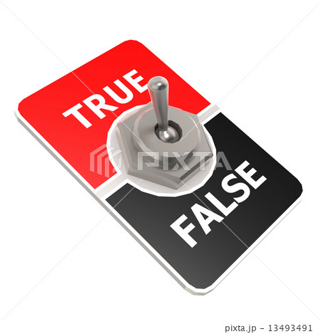 True toggle switch 13493491