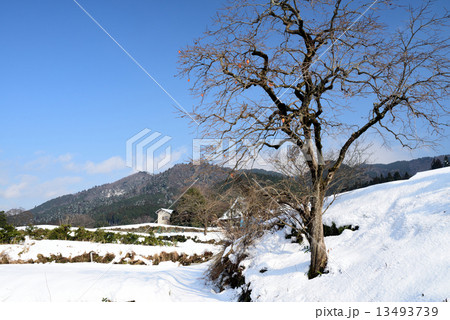 冬の洛北大原農村風景 13493739