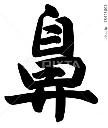 鼻 13493801