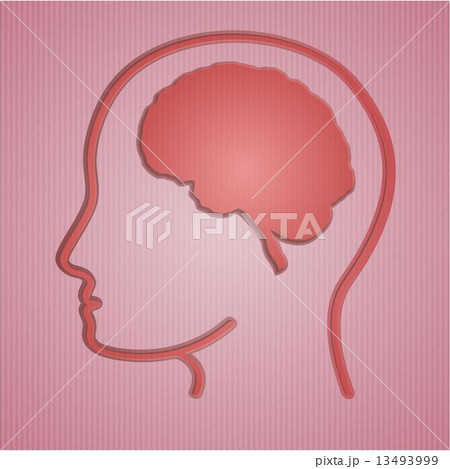 human brain in head 13493999