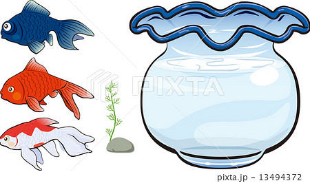 金魚 13494372