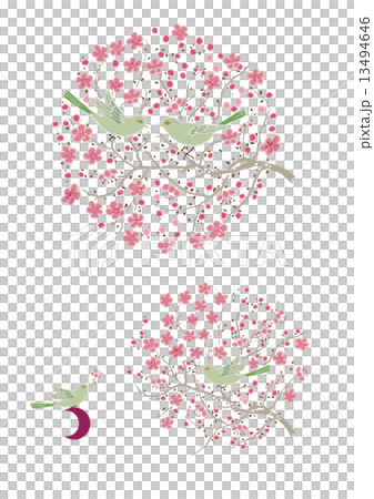 Ume and Ugui 13494646