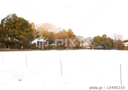 雪の落柿舎 13495233
