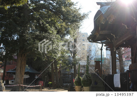 鬼子母神 鬼子母神 13495397