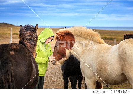 Woman with Icelandic Ponies 13495622