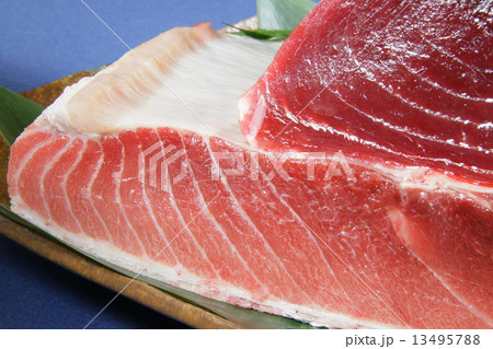 鮪ブロック 13495788
