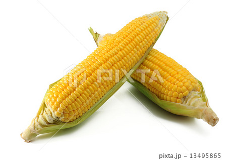 Corn 13495865
