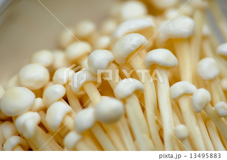 Golden needle mushroom 13495883