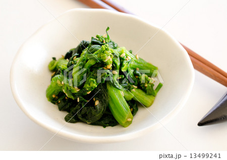 菜の花のからし和え 菜の花のからし和え 13499241