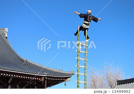 はしご乗り はしご乗り 13499902