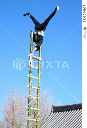 はしご乗り 13499903