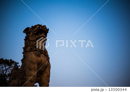 シーサー シーサー 13500344