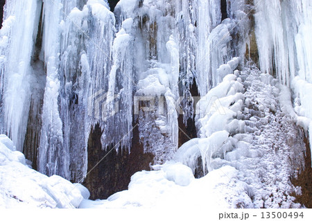 結氷の七条大滝 結氷の七条大滝 13500494