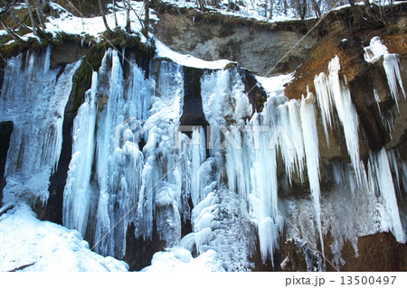 結氷の七条大滝 13500497